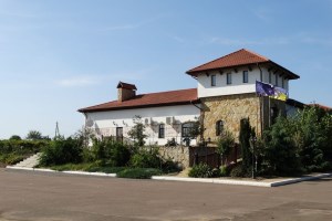 Виноробня Колоніст, Криничне